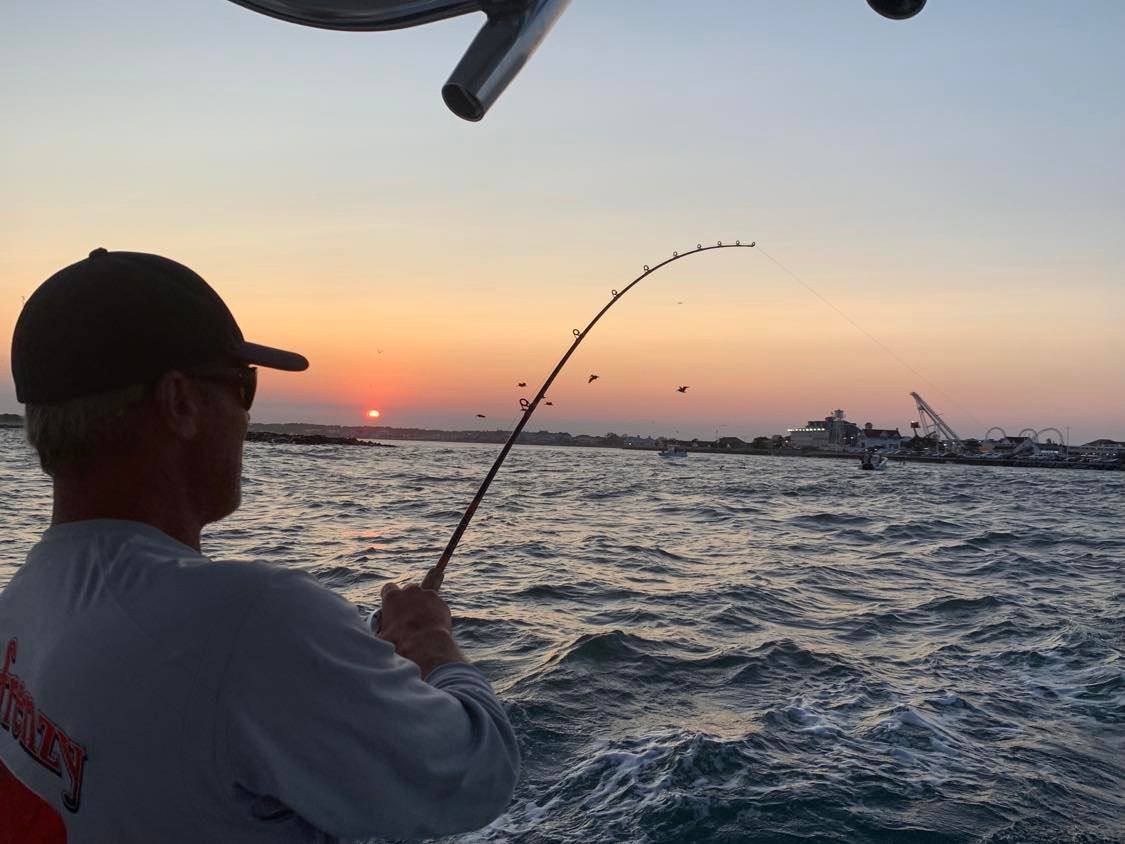 Evening Shark Charter